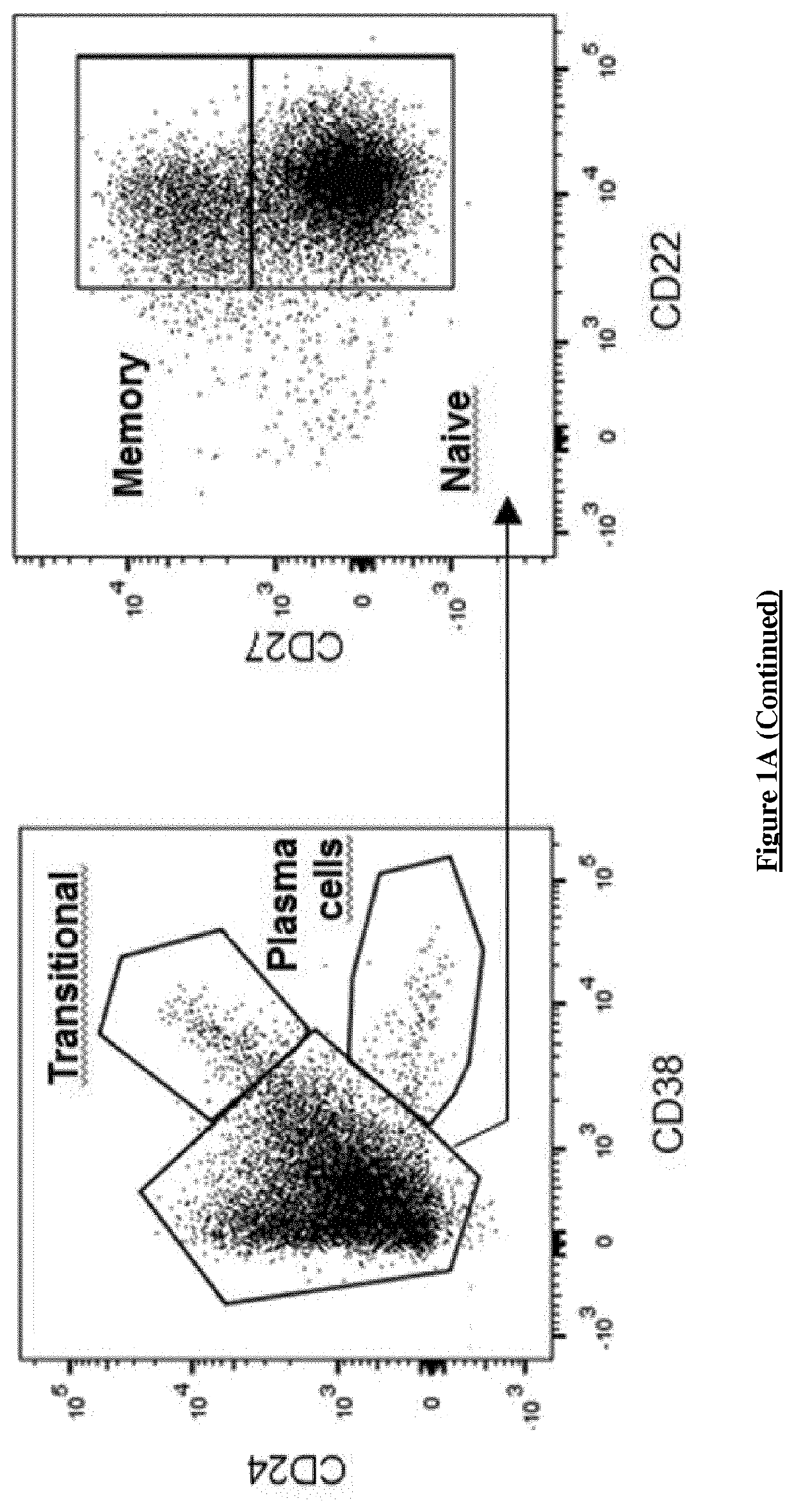 Cd24hicd38hi transitional b cells and cd9 as new biomarker of long-term human lung allograft survivial