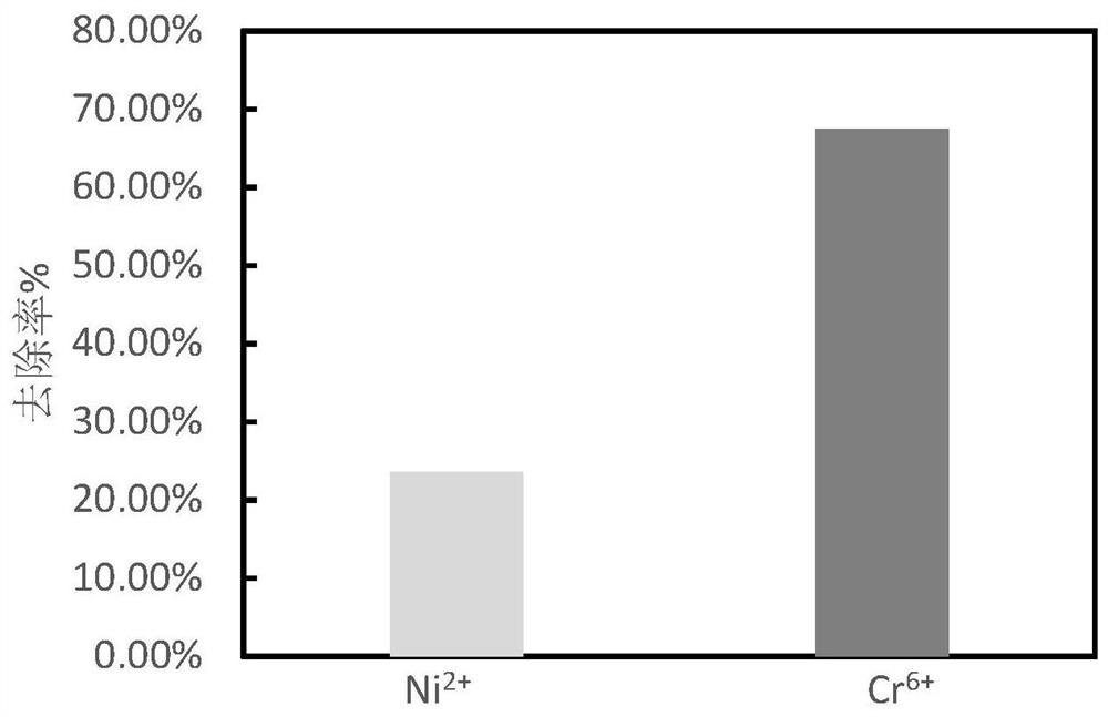 Bentonite coagulant and application thereof in wastewater treatment