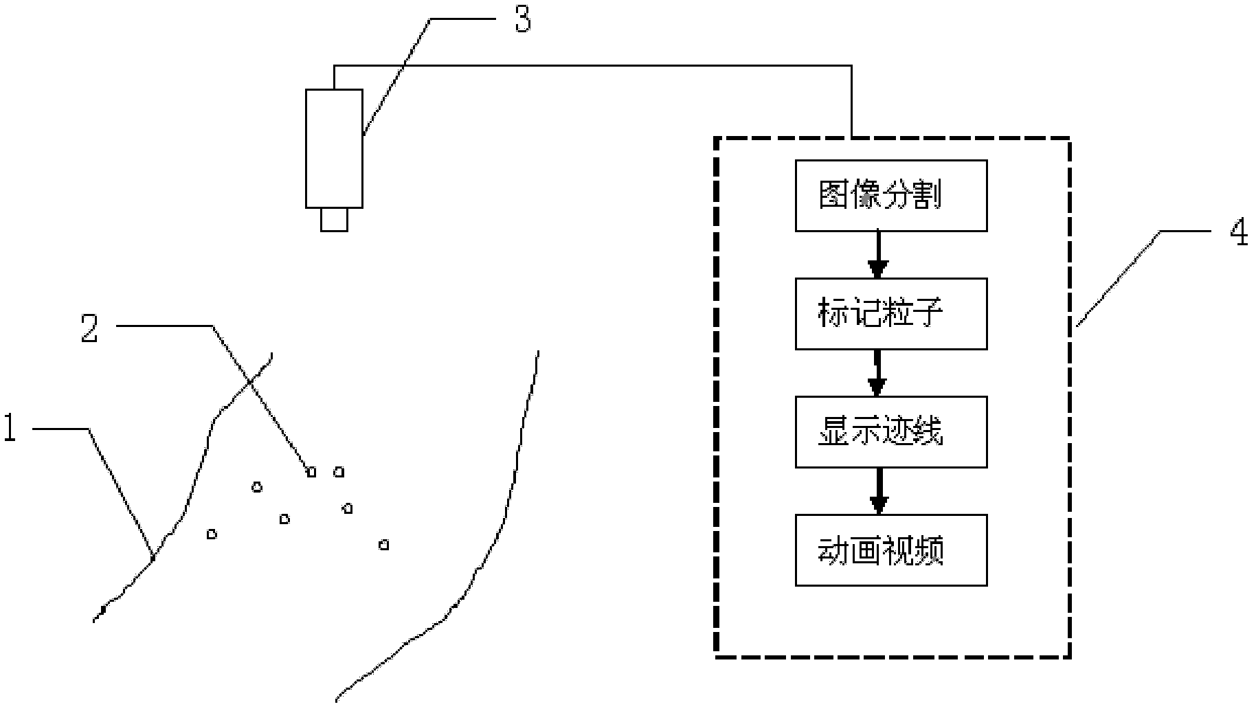 Dynamic display system for streak line in water flow and display method for streak line