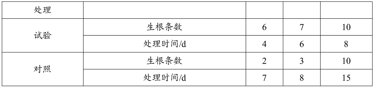 Ferment bacterial fertilizer with rooting and growth promoting functions and preparation method thereof