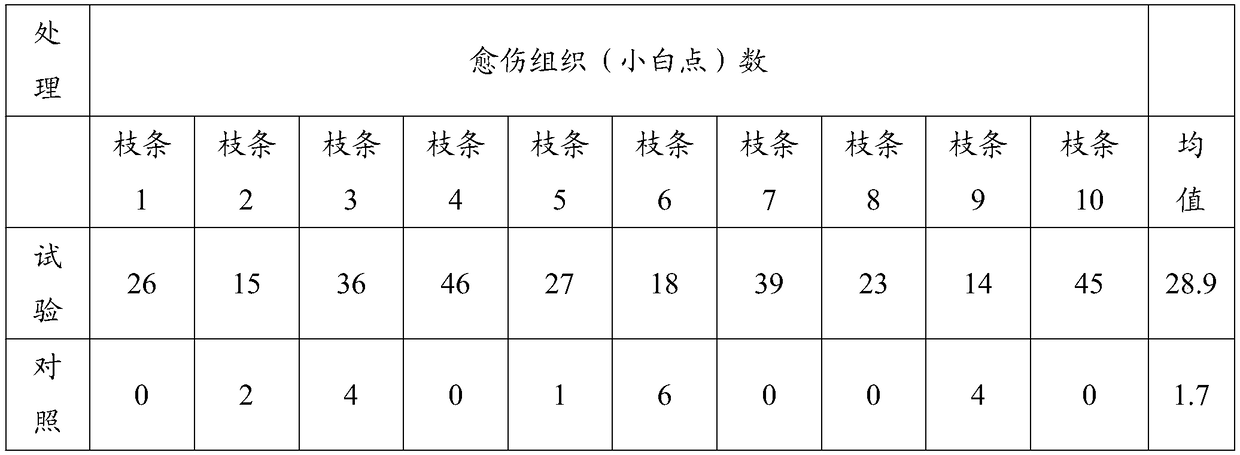 Ferment bacterial fertilizer with rooting and growth promoting functions and preparation method thereof