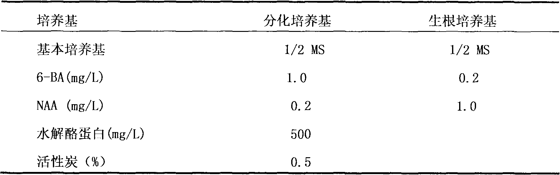 Method for achieving isolated embryos through radish and turnip intergeneric distant hybridization