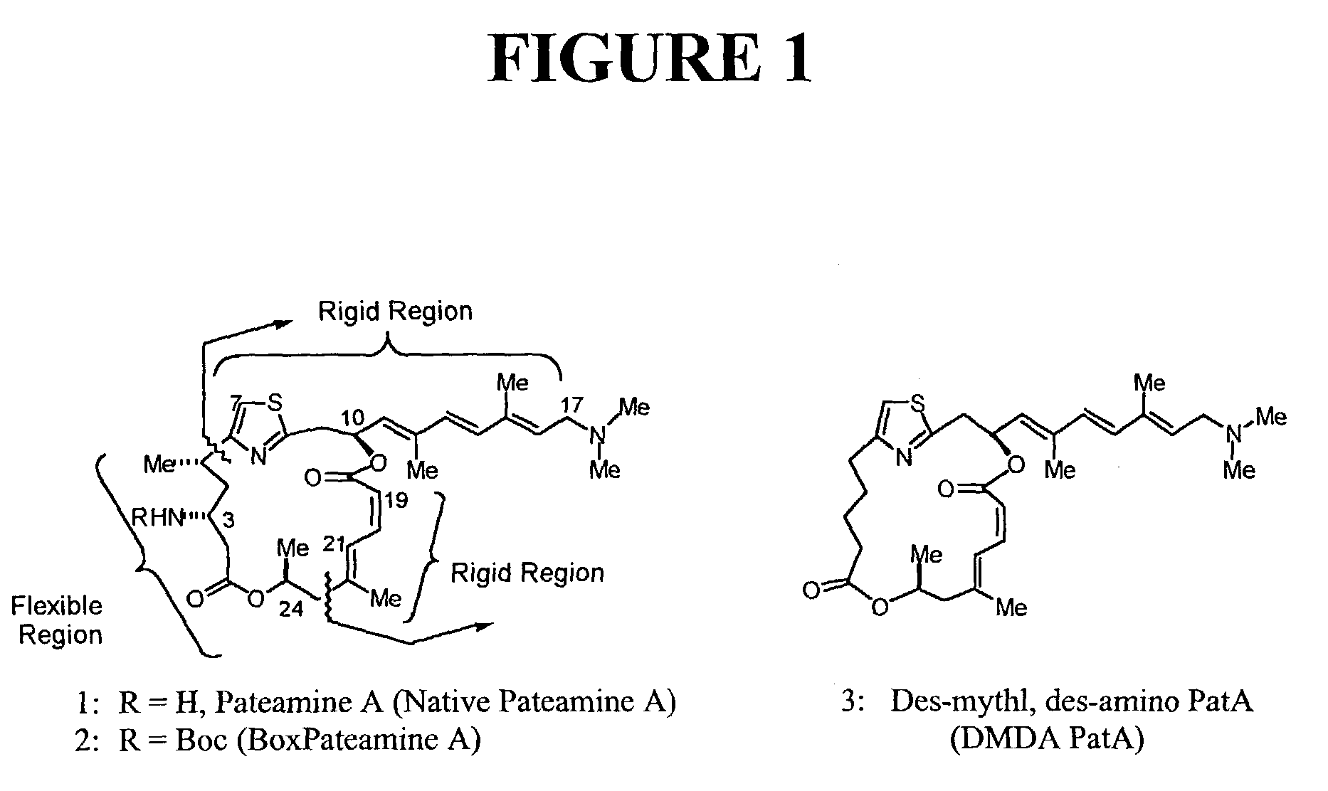 Potent, simplified derivatives of pateamine A