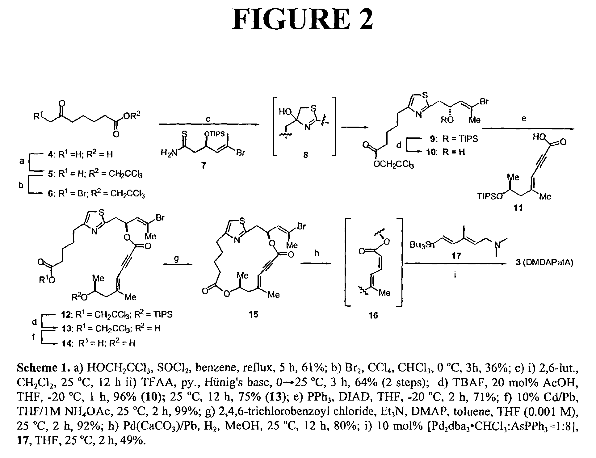 Potent, simplified derivatives of pateamine A