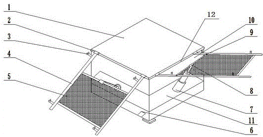 Artificial insemination device for goats