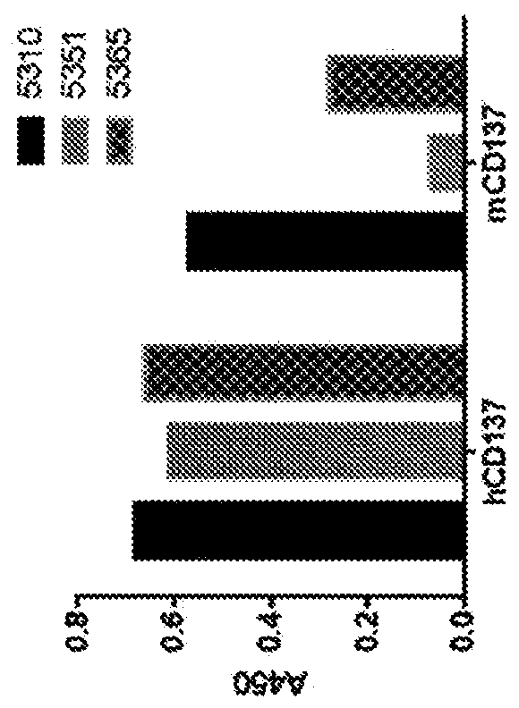 Anti-cd137 molecules and use thereof