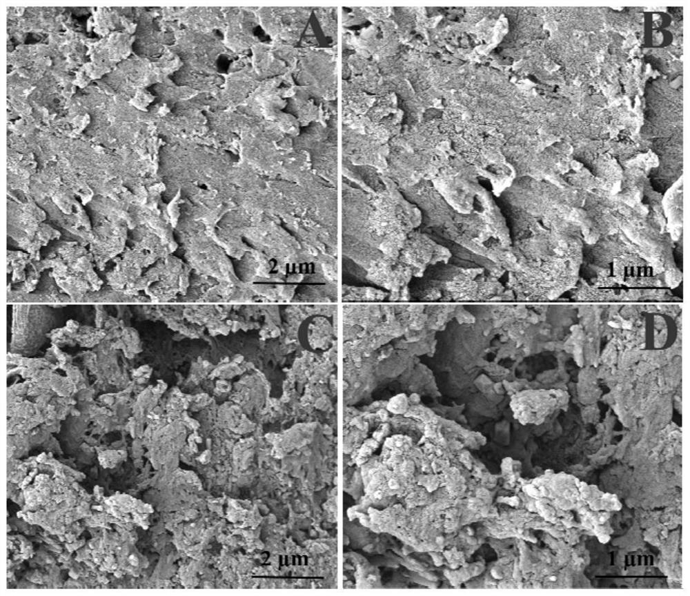 Preparation method of anti-pollution electrochemical biosensor based on temperature-sensitive western blot gel