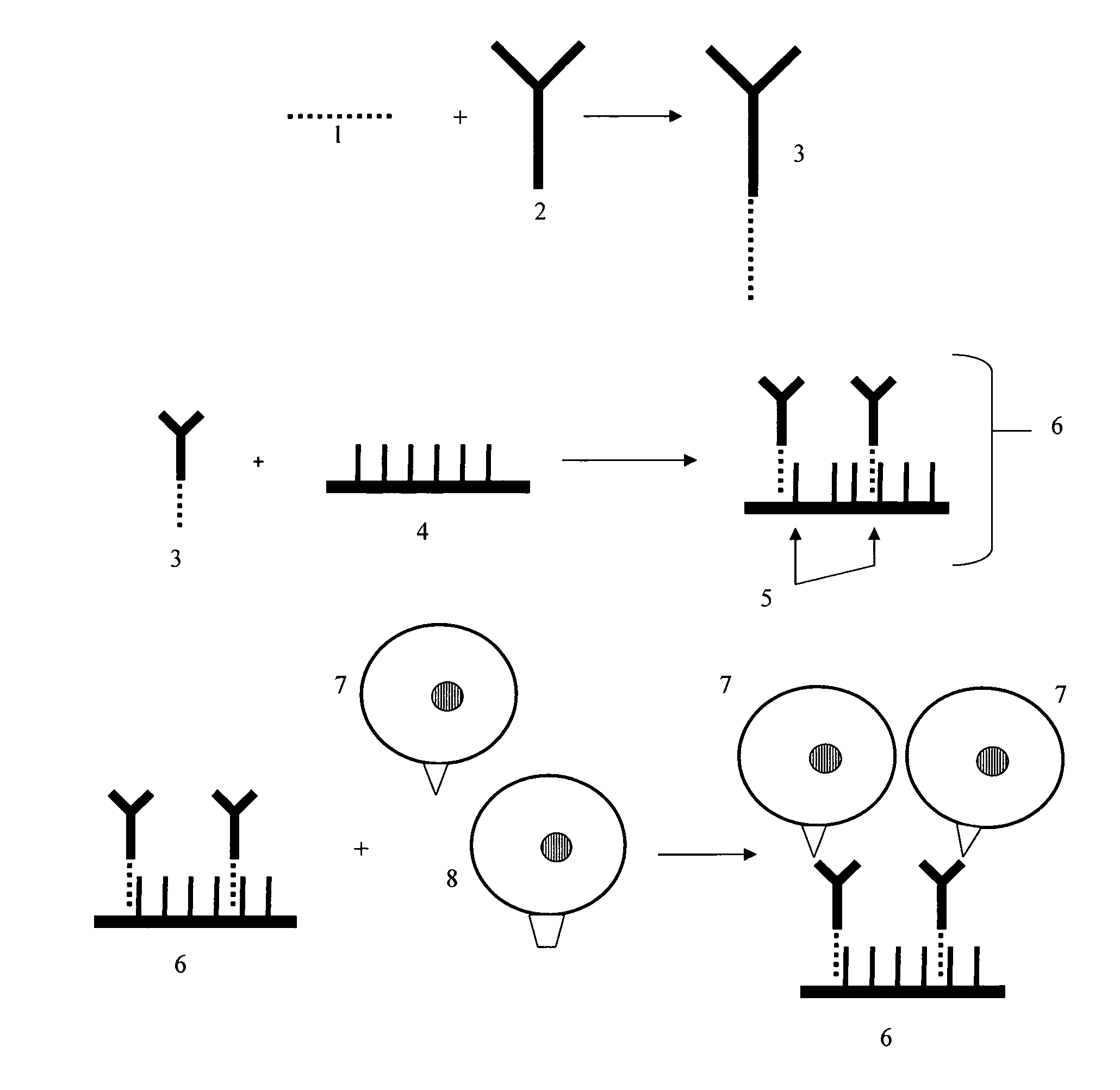 Cell-based microarrays, and methods for their preparation and use