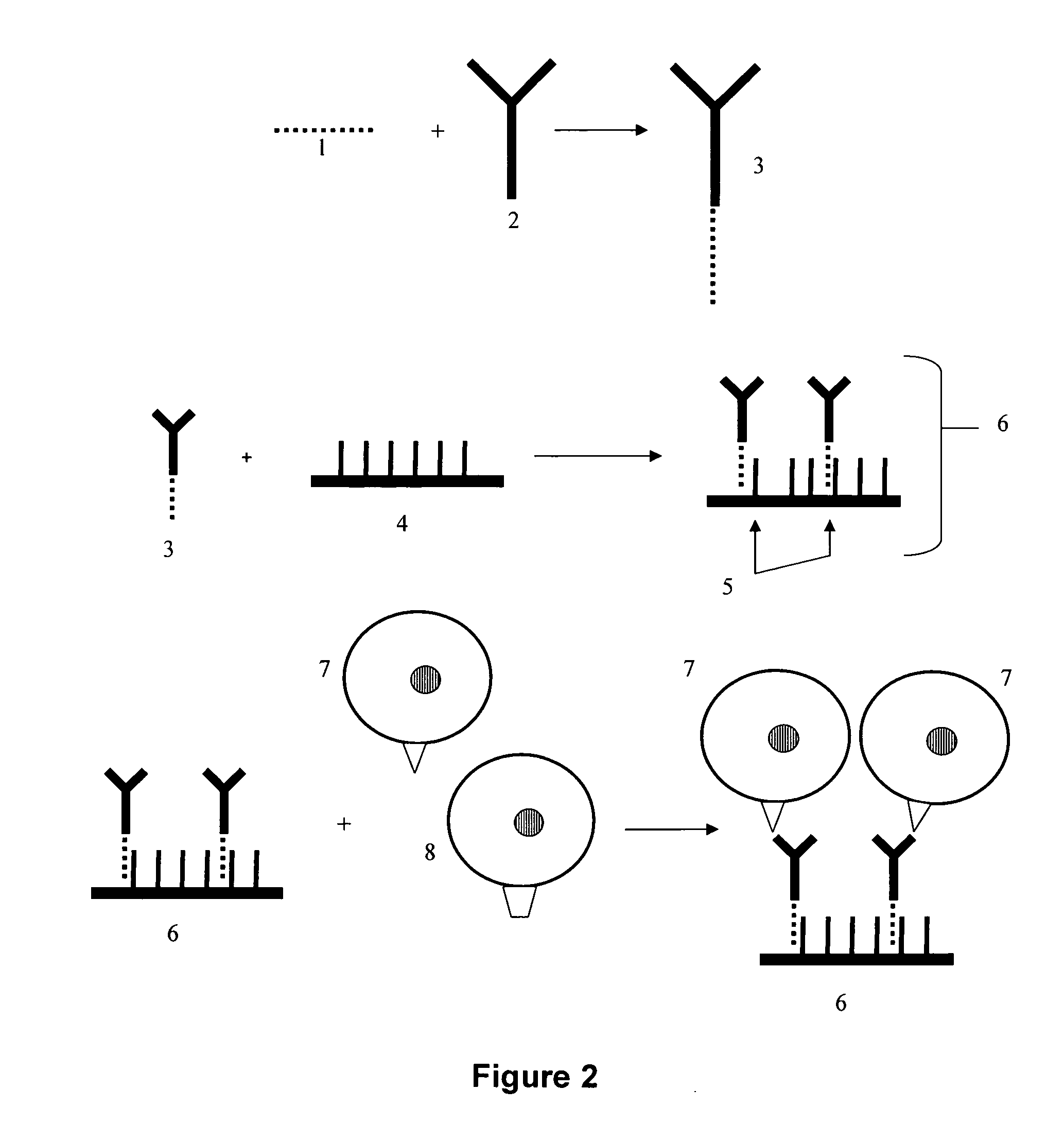 Cell-based microarrays, and methods for their preparation and use