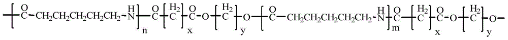 A kind of caprolactam hydrolysis polymer and its hydrolysis polymerization method