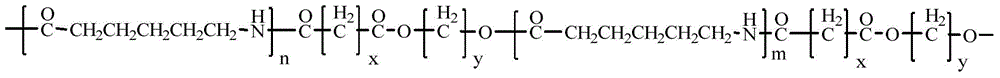 A kind of caprolactam hydrolysis polymer and its hydrolysis polymerization method