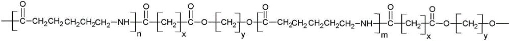 A kind of caprolactam hydrolysis polymer and its hydrolysis polymerization method