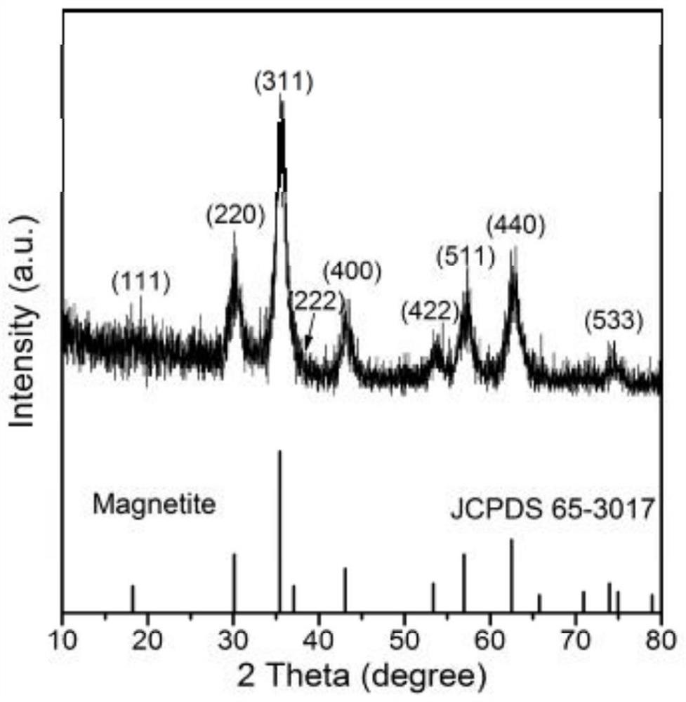 Preparation method of subminiature magnetic ferroferric oxide nanoparticles