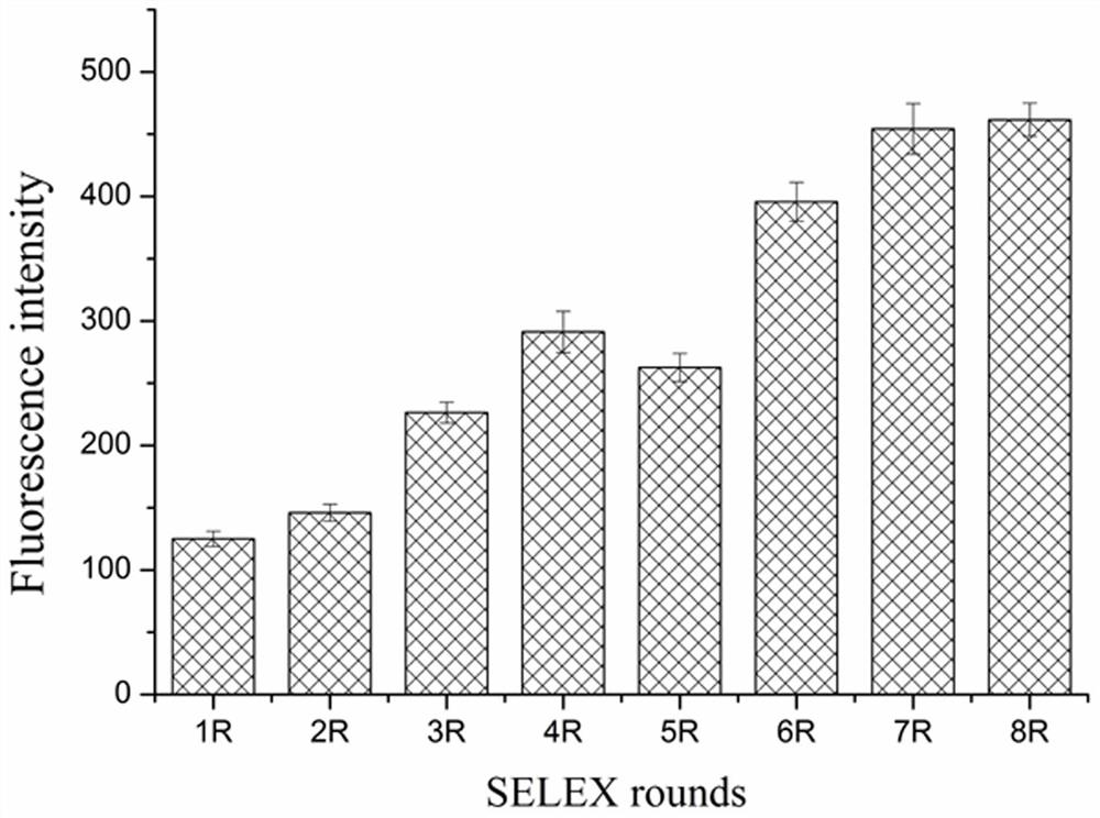 Sheep pregnancy-related glycoprotein aptamer and application thereof