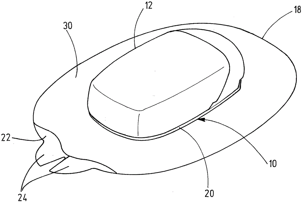 Carrier system for an object worn on the body and method of production