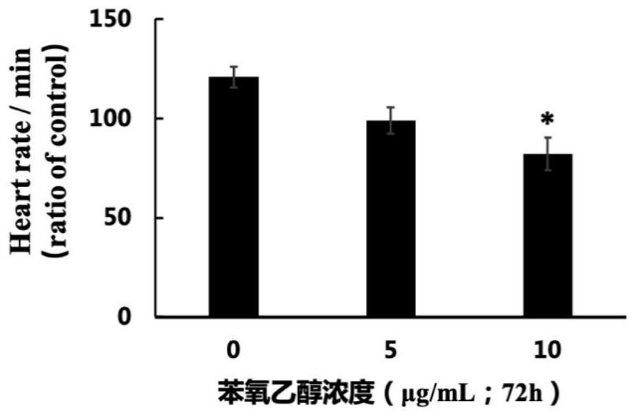 Method for evaluating toxicity of cosmetic basic raw materials to infant development by using zebra fish