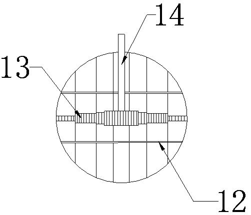 Loquat constant temperature greenhouse with layered constant temperature function