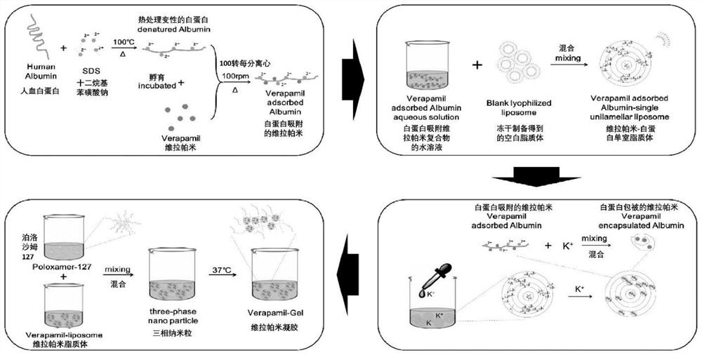 A kind of verapamil thermosensitive sustained-release preparation and its preparation method and application
