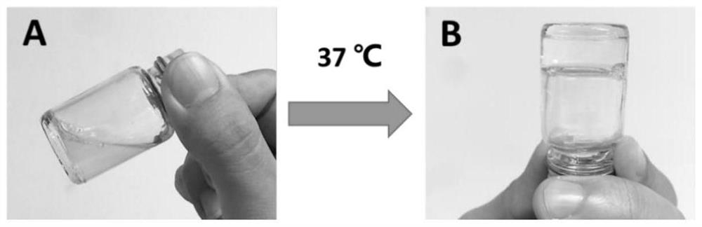 A kind of verapamil thermosensitive sustained-release preparation and its preparation method and application