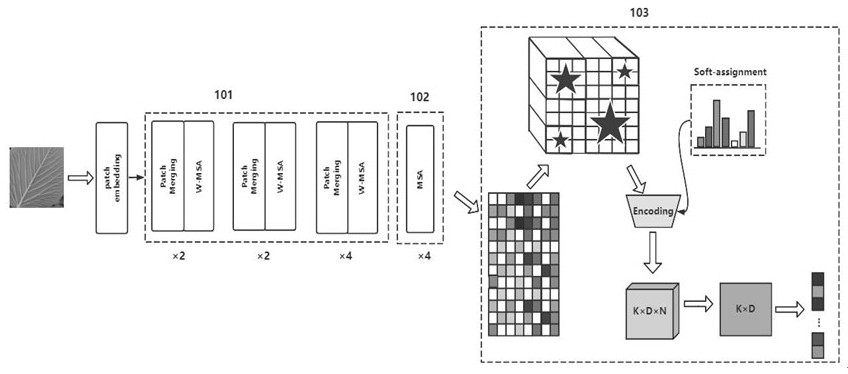 Texture recognition method based on deep self-attention network and local feature coding
