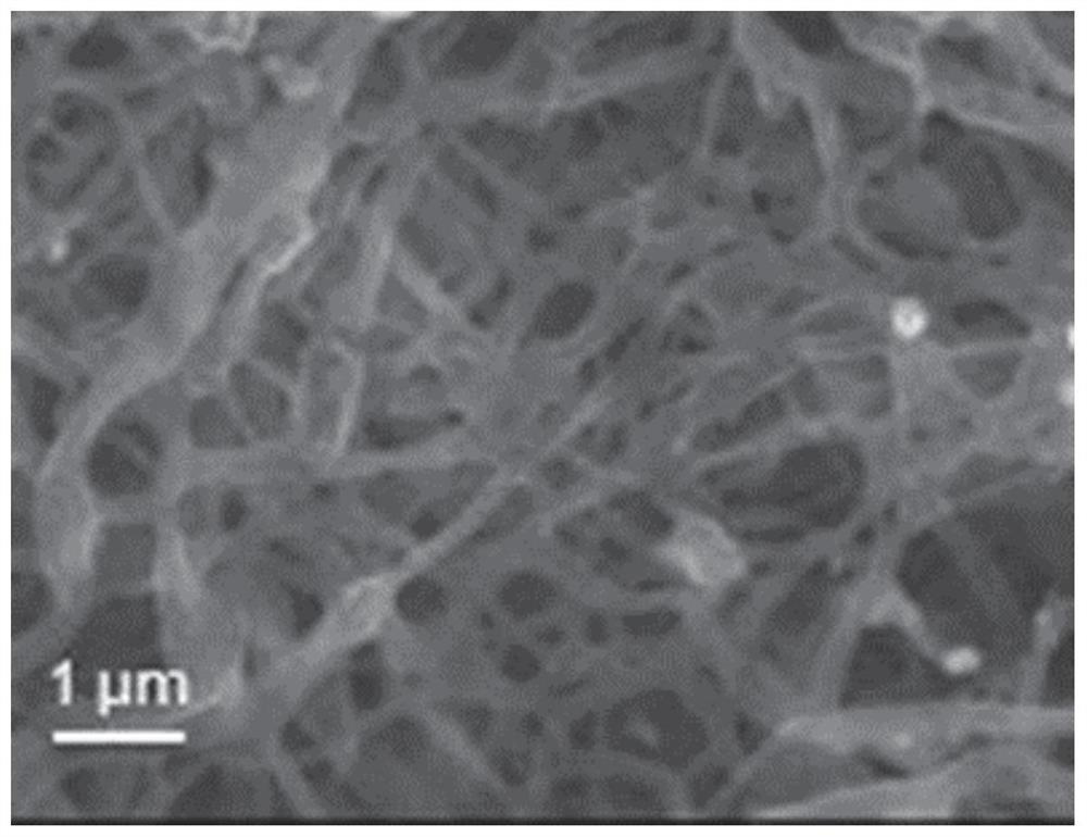 Preparation and application of Fe-N-CNFs catalyst based on Fe-MIL