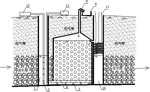 In-situ cadmium removal method for underground water