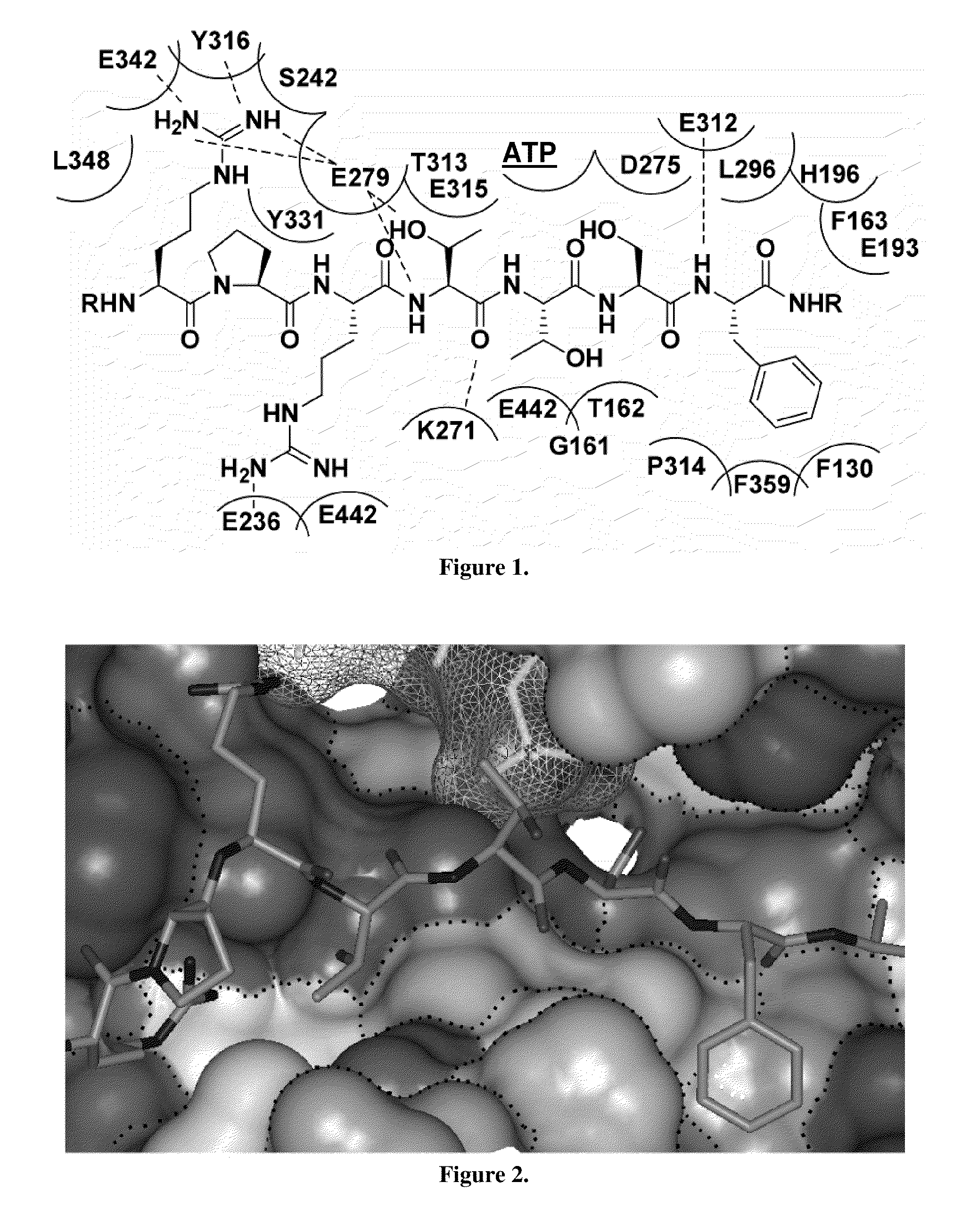 Substrate-mimetic akt inhibitor