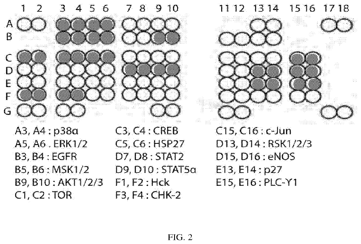 Combination therapy for the treatment of pancreatic cancer