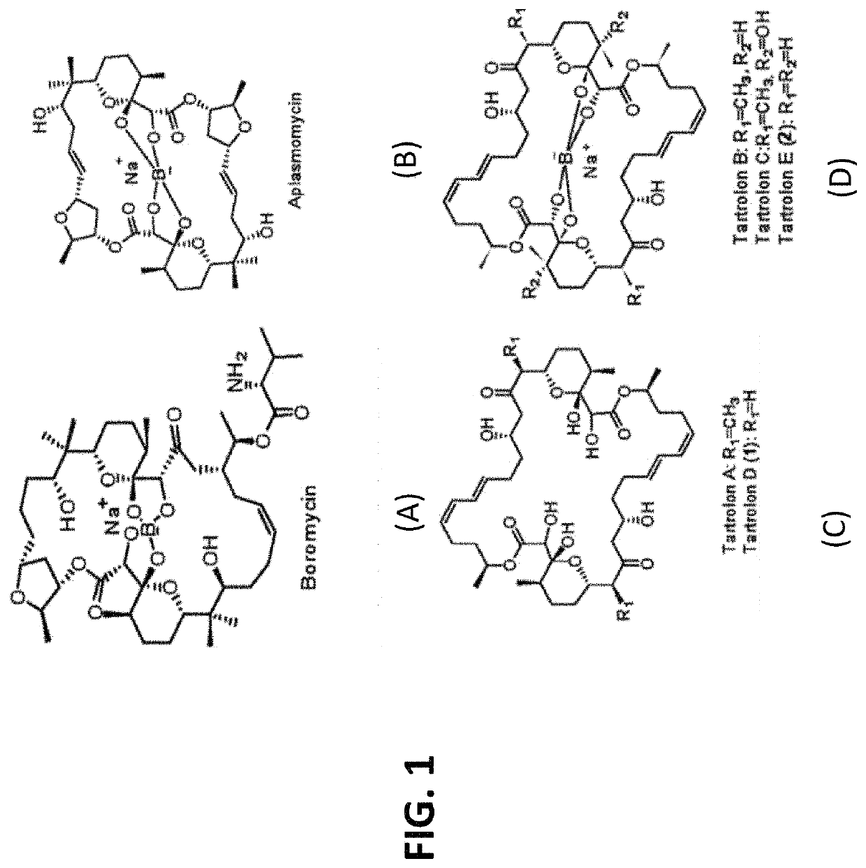 Methods and compositions for prevention and treatment of Apicomplexan infections