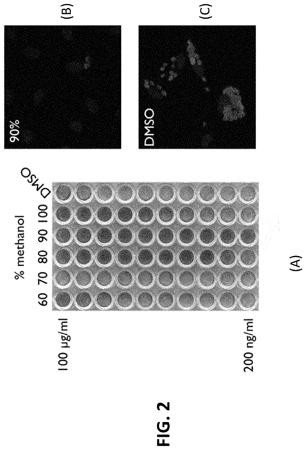 Methods and compositions for prevention and treatment of Apicomplexan infections