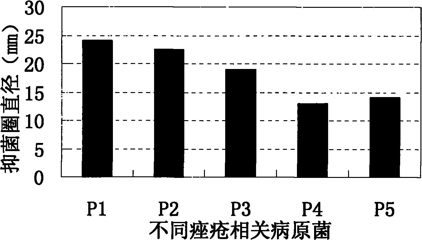 Chinese medicinal composition with acne treatment and anti-inflammation effects, preparation and preparation method thereof