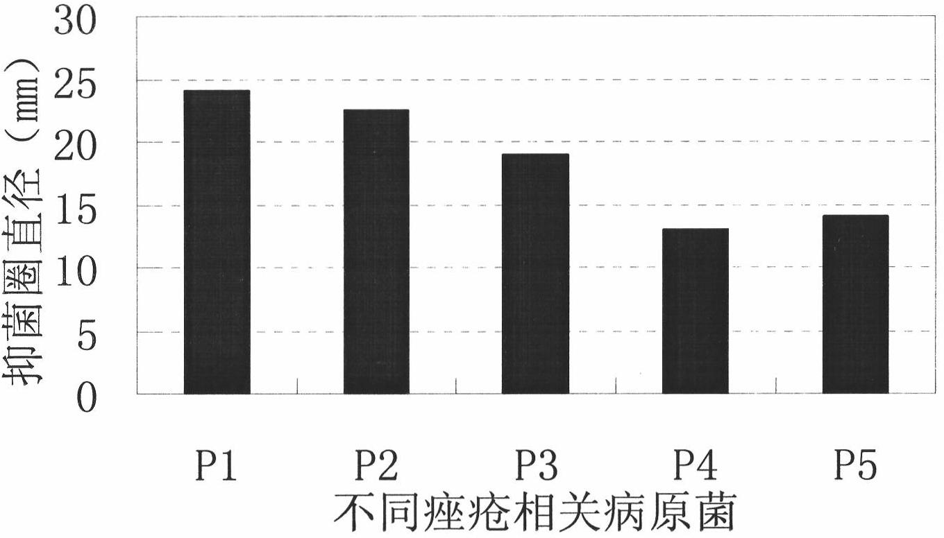 Chinese medicinal composition with acne treatment and anti-inflammation effects, preparation and preparation method thereof