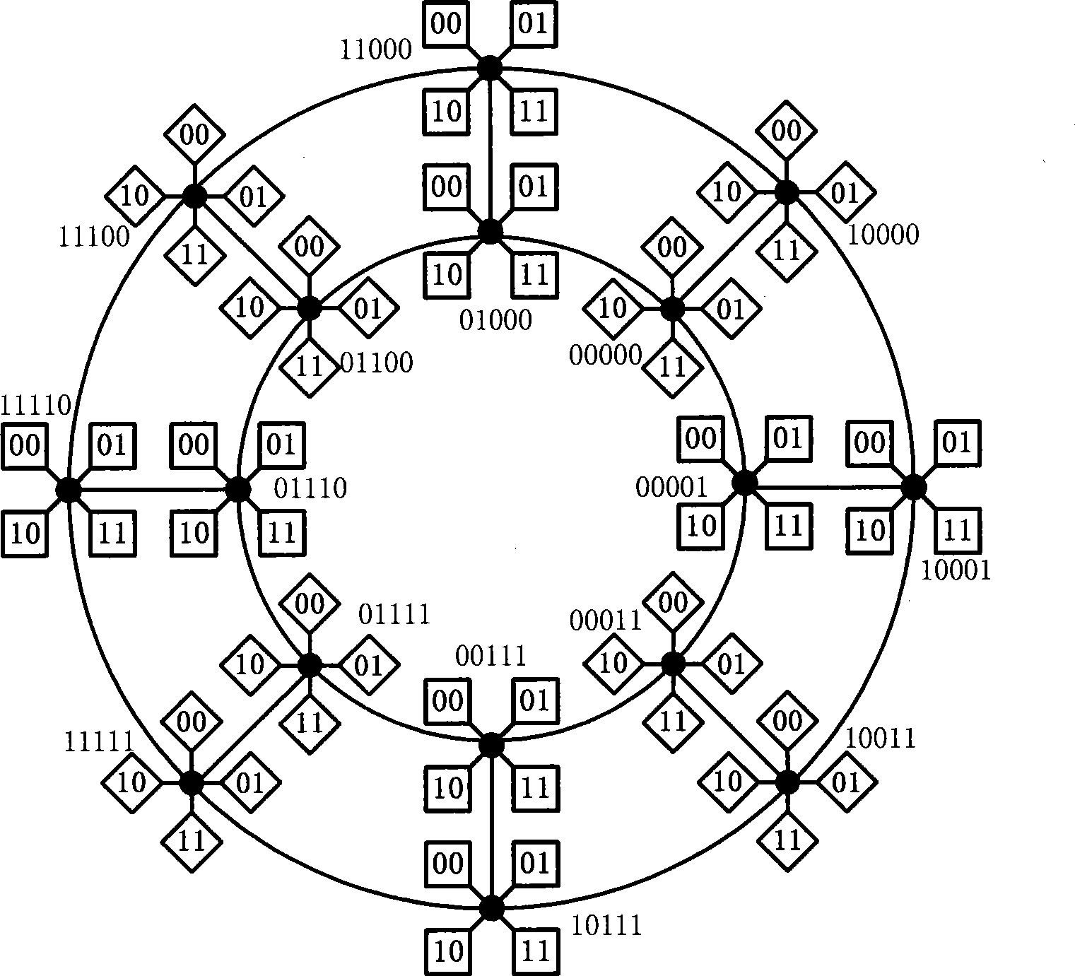 Star-cluster double-loop on chip network topology construction