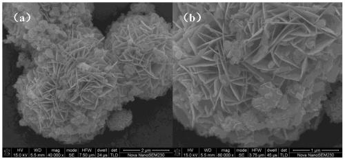 Composite photocatalyst for efficiently degrading ciprofloxacin as well as preparation method and application of composite photocatalyst