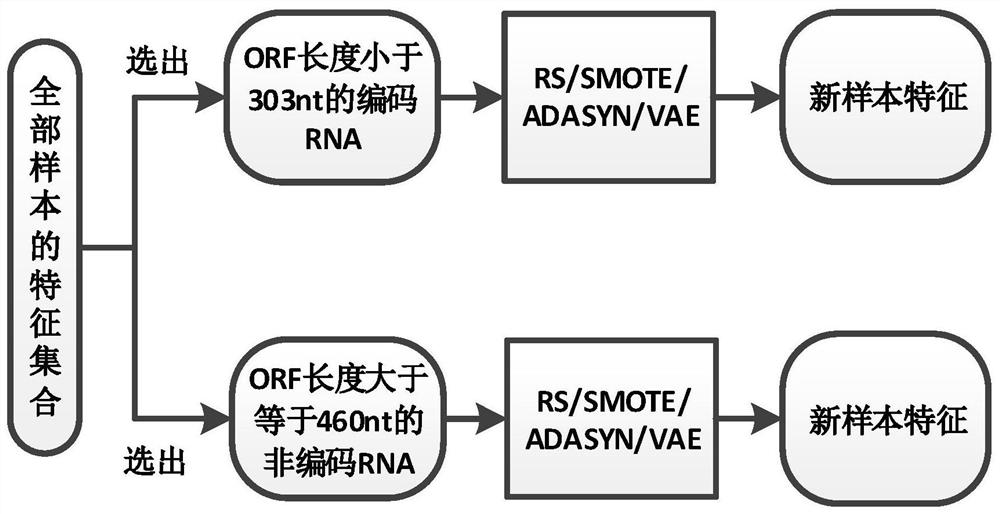 RNA sequence coding potential prediction method and system based on data enhancement