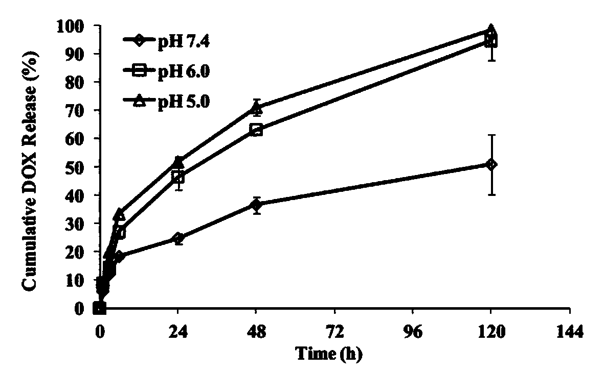 Doxorubicin prodrug, its preparation method and injectable composition