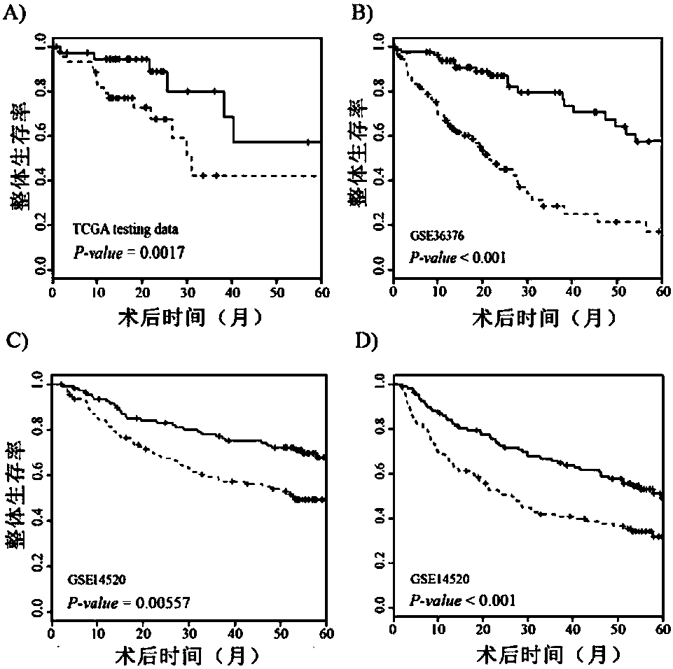 Application of lncRNA in diagnosis and prognostic prediction of liver cancer