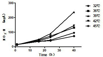 High-temperature-resistant nitrosomonas nitrosa strain and application thereof in sewage treatment