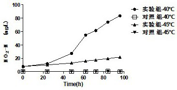 High-temperature-resistant nitrosomonas nitrosa strain and application thereof in sewage treatment