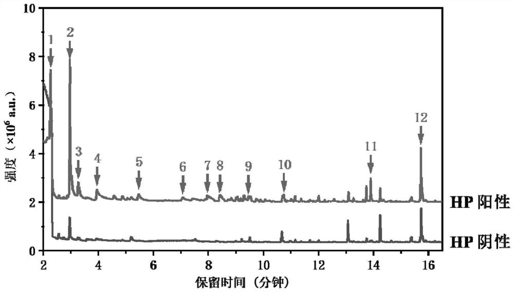 Saliva VOC marker of helicobacter pylori and application of saliva VOC marker in preparation of diagnostic reagent