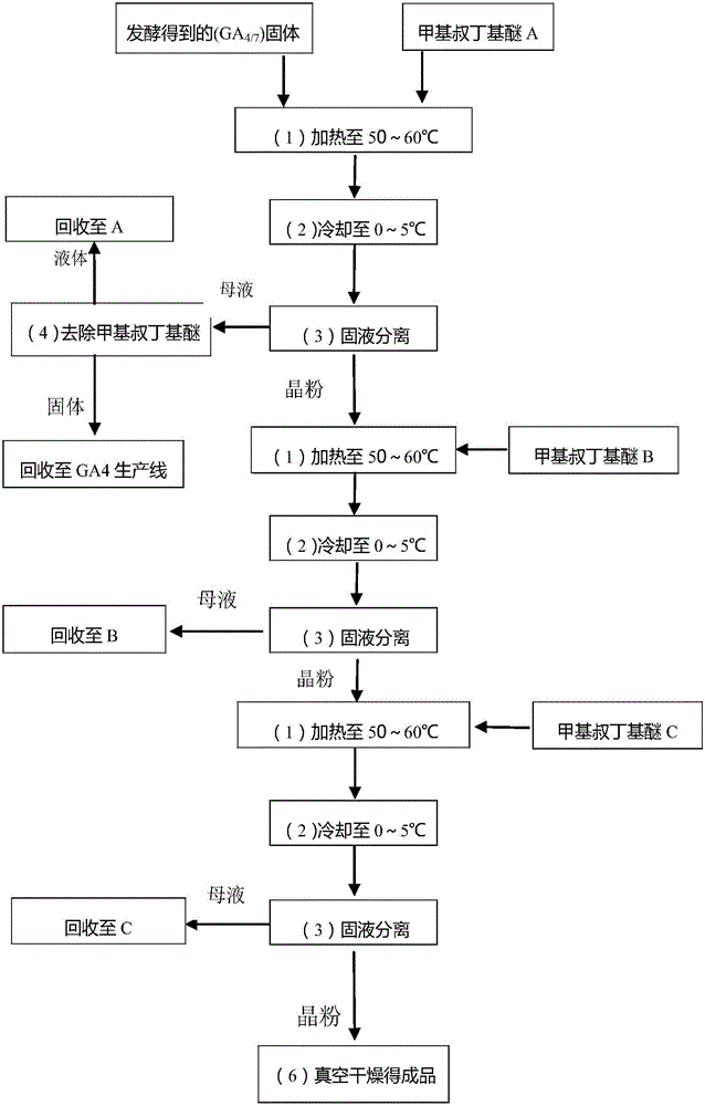 Separation and purification method of gibberellins A7 (GA7)