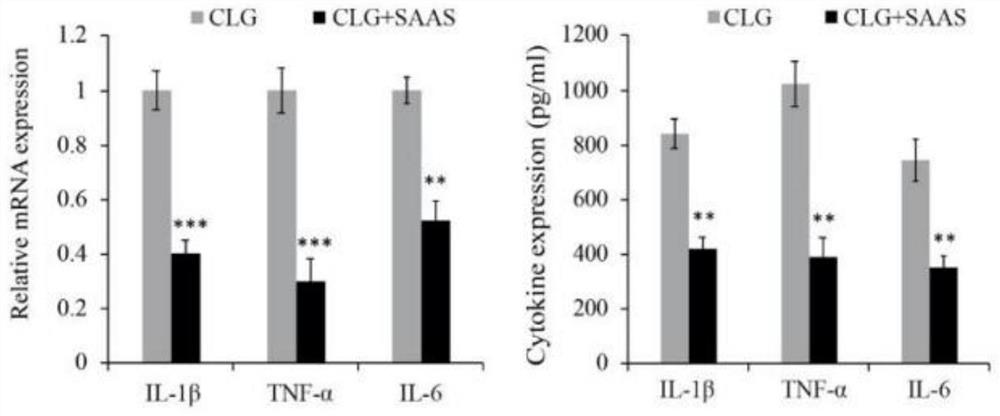 Application of salvianic acidA in preparation of medicine for relieving occurrence and development of lumbar facet joint osteoarthritis