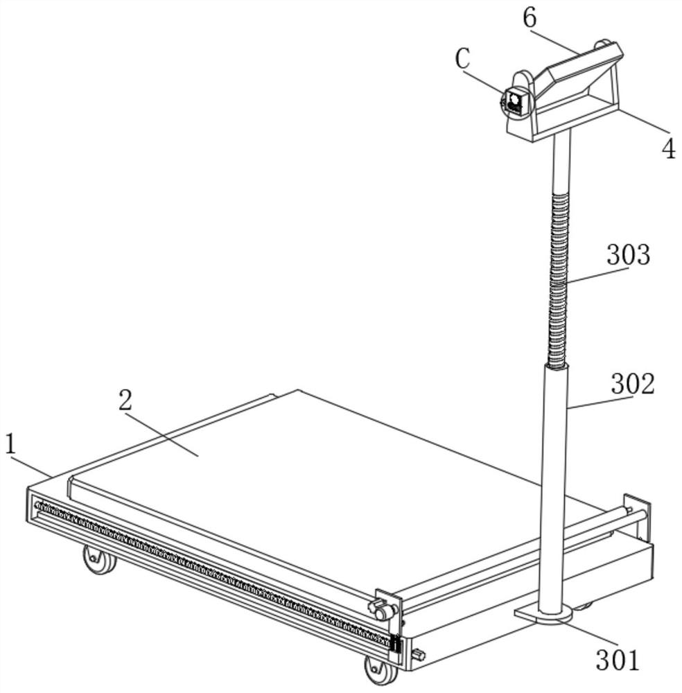 Intelligent agricultural trade multifunctional electronic scale