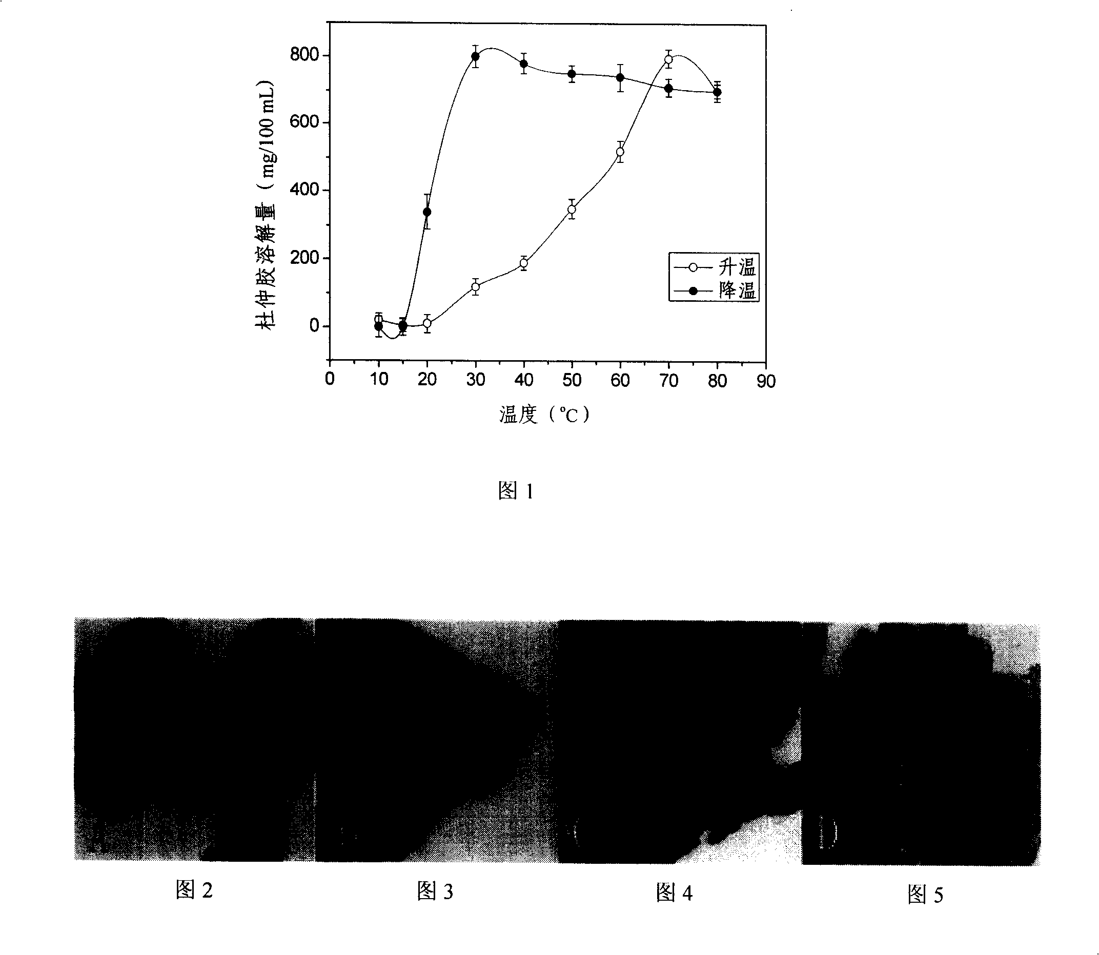 Method for extracting filament gutta-percha from eucommia leaf and skin