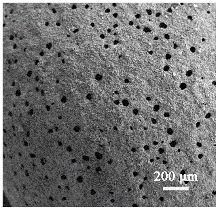 Porous calcium phosphate microsphere material with surface big holes and preparation method and application of porous calcium phosphate microsphere material