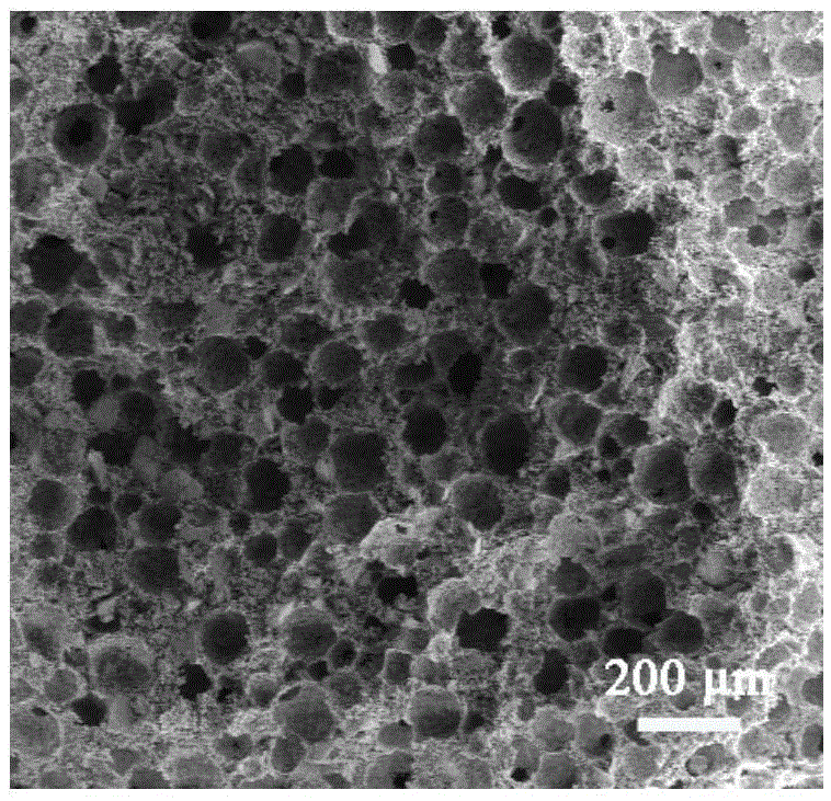 Porous calcium phosphate microsphere material with surface big holes and preparation method and application of porous calcium phosphate microsphere material