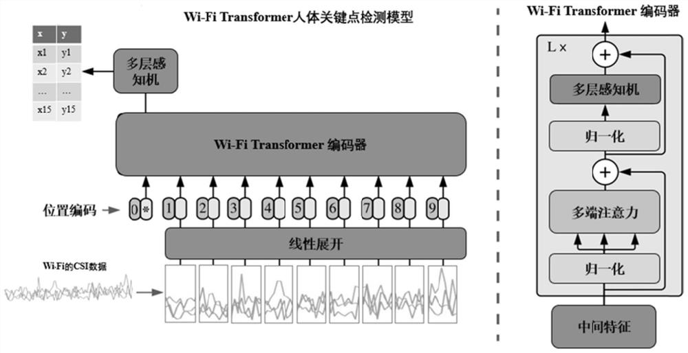 Human body key point detection method and system based on Wi-Fi signal