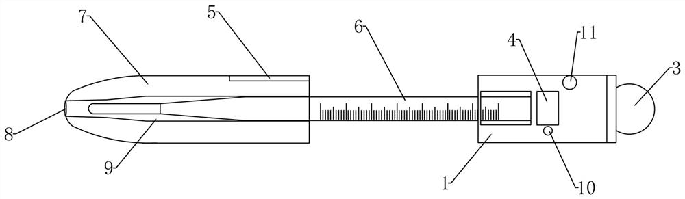 Mercury thermometer protection system and method