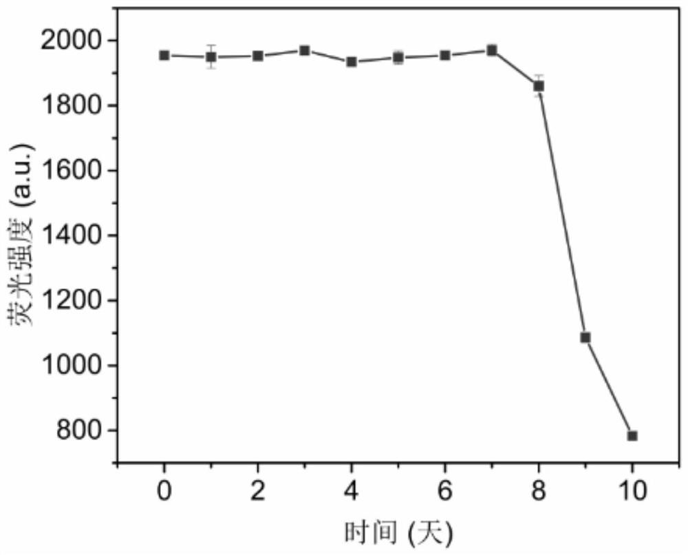 A preparation method for enzymatically synthesizing fluorescent gold nanoclusters