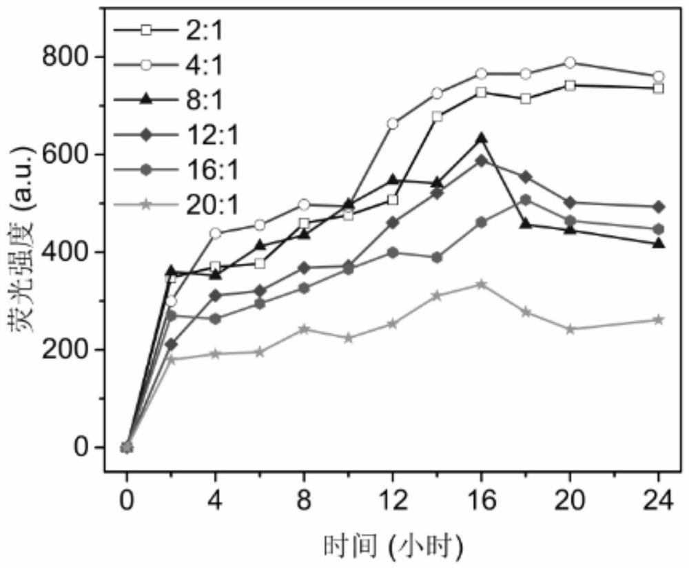 A preparation method for enzymatically synthesizing fluorescent gold nanoclusters